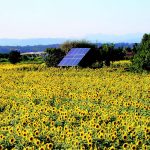 Inseguitore solare fotovoltaico in un campo di girasoli foto Mario Ferrucci, ARS 130-131