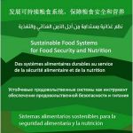 locandina_giornata mondiale alimentazione 2013