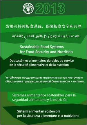 locandina_giornata mondiale alimentazione 2013