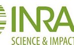 010_03inra