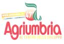 Alogagriumbria2015