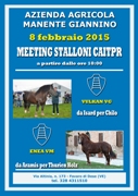 PRESENTAZIONE STALLONI AZ_ MANENTE 2015