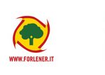 forlener 15