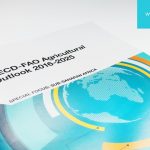 Report FAO-OSCE