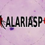malariaspot