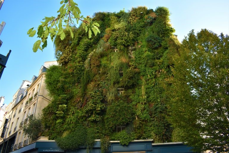 “Mur Vegetal” a Parigi. Foto di Andrea Campiotti