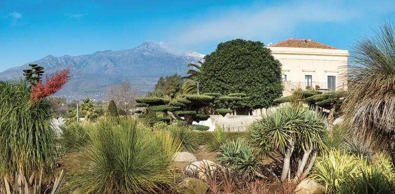 The garden of essences