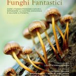 funghi fantastici