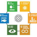 SDG “Sustainable Development Goals”