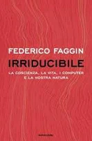 Irriducibile - Faggin