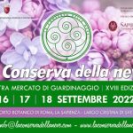 la conserva della neve