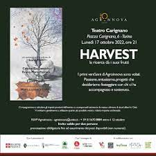 Harvest - Torino